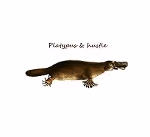 Platypus & hustle