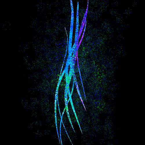 Item #54223942118458018475773761912515880898679735035654901743236843538704305750266 Media