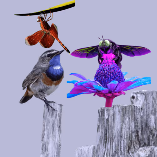 Item #106350744656416940876067234777312744792057383987391973590080758681674446798849 Media