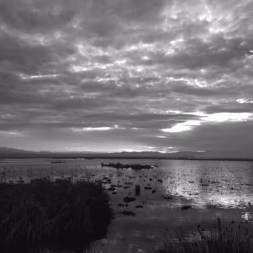 Item #107742627867956892364714120184147413803821811265510288122929724920230641139713 Media