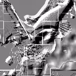 99388000986856000018354907133613642099094873571261770022067184026551863738369