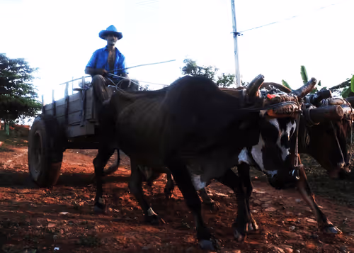 Untitled Collection #85785481