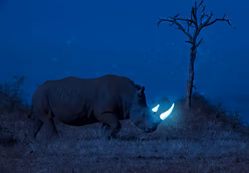 11276162529628641556553056529614973332754405277106184420845744802520335646721