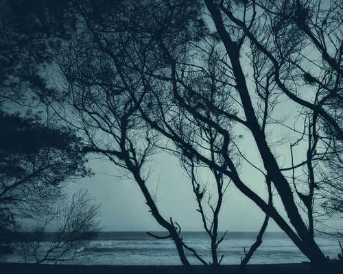 trees