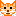 Ginger Cat