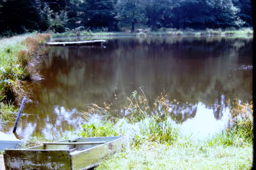 Item #113047771030127017240919341709485116586684509374101894410877815092063298912257 Media