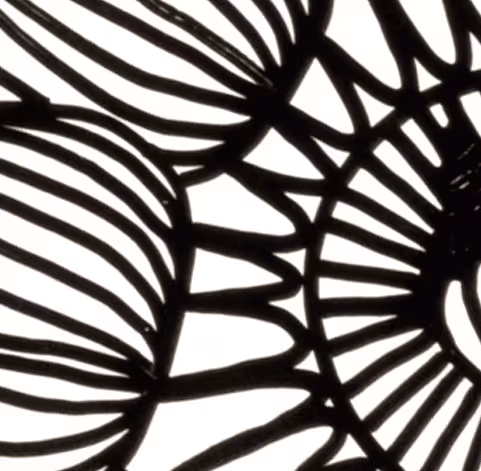 Item #115166867936095770429438259128629738541612583624805855104759237545415661322241 Media