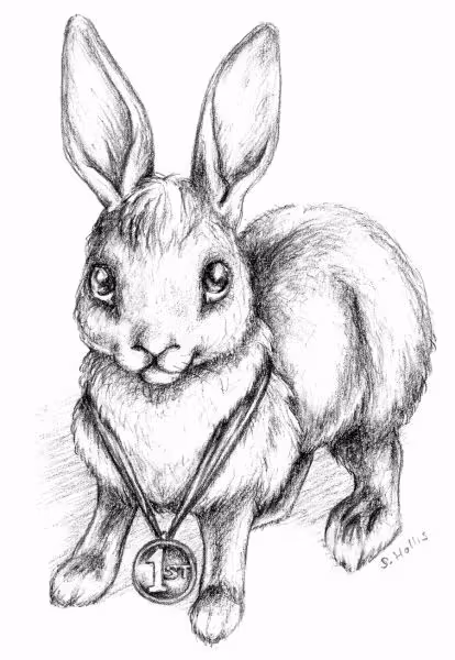 Item #24600310660482288606297797528155087939323639147399647196853483667728562651236 Media