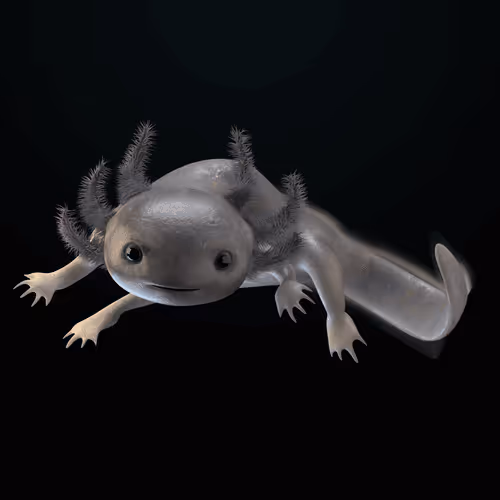 Item #39982110375740153587505644478940195082872270202471884348459982235960684314625 Media