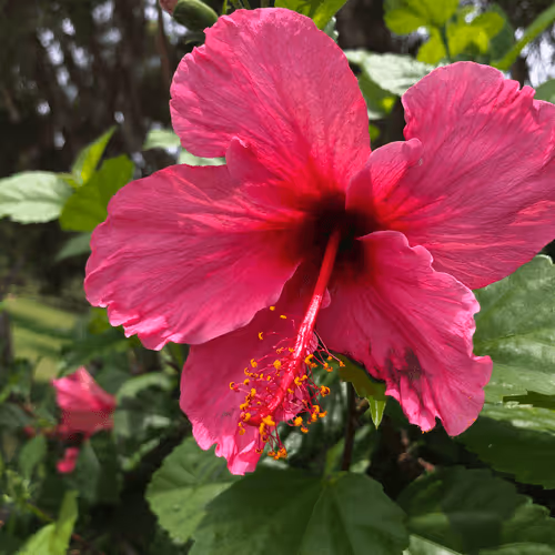 Item #56322661583650327241335368930056989154338103014947234537333187355434419224586 Media