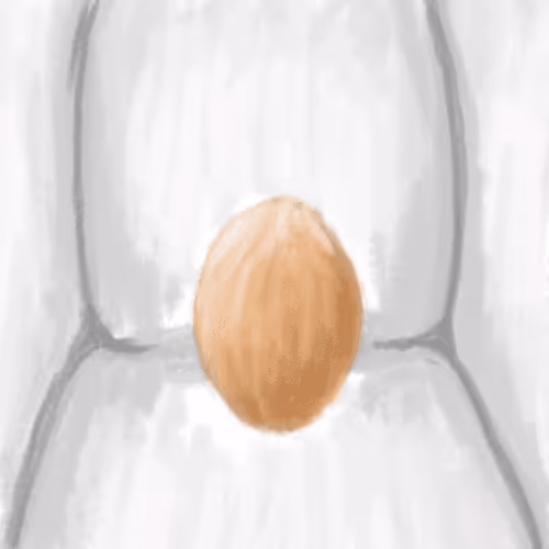 Untitled Collection #207406925