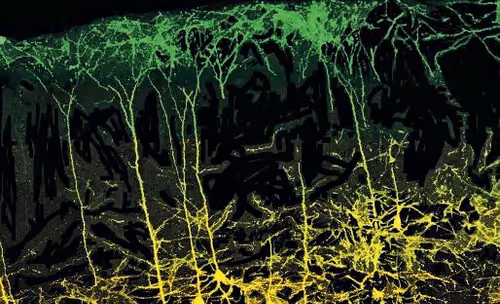 Item #94269245491509990734465210167466884321016156327322156678976395953707365171210 Media