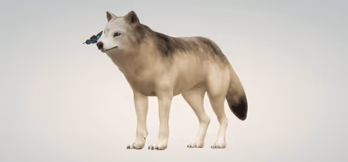 Item #103167468477030390424945433198958221646086742043466721605958481860141787381761 Media