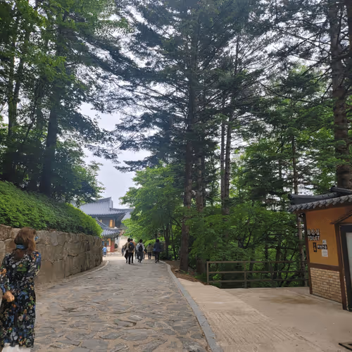 Untitled Collection #443056838