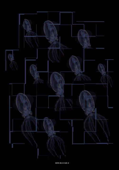 Item #49380836627770662733359422450185159630436709343046895638781015839857409261569 Media