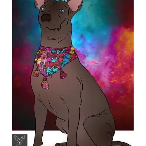 115412186582648874764752321087999128692557907064492986516876109641446265454593