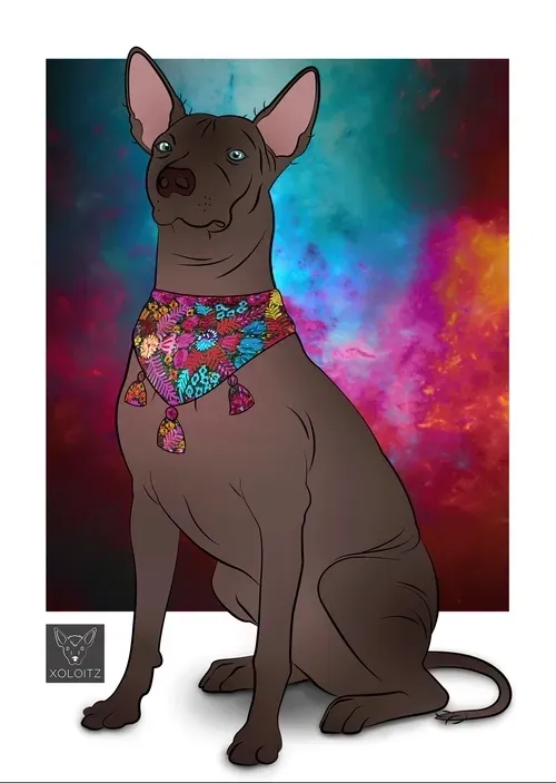 Item #115412186582648874764752321087999128692557907064492986516876109641446265454593 Media