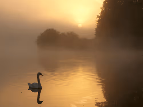 Item #35059650464012303827222025137933488890334856624712378802385142640042221502469 Media