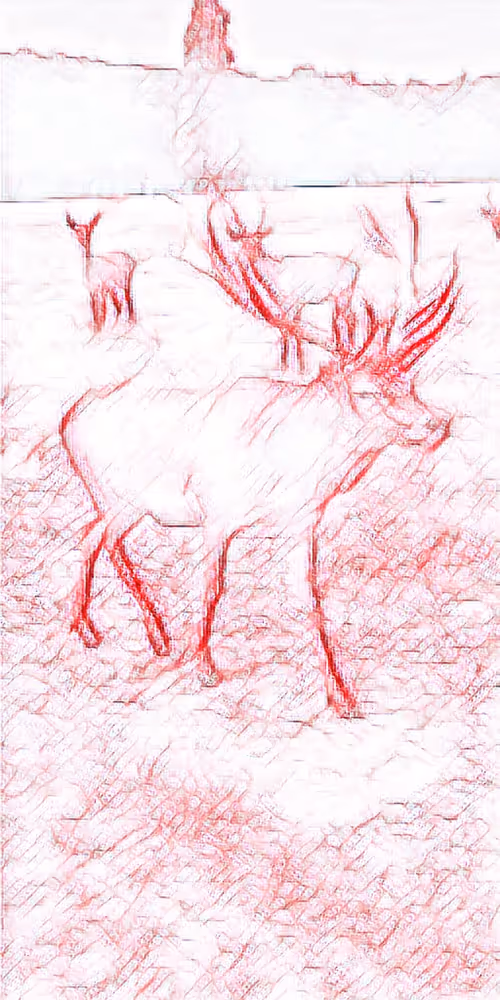 Item #8651498271250357396440676192848533063446167115421124880697921210749357654017 Media