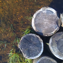 wooden poles