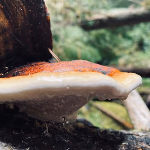 2005862319158051831365229387864138466486092287762213337058068743918282866689