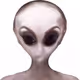 78659460725135531583023670119258347490912039647015248883718852257087867584513