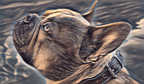 Item #54593652383459731767777383320415424164820202733853921615926635471645265887233 Media