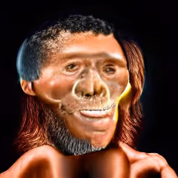 55883492356445642321556562311255869022722979691365303347538713090999369859073
