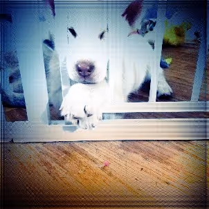 Item #92073704589773361122147966092524804152642586098982844308503816077531898970117 Media