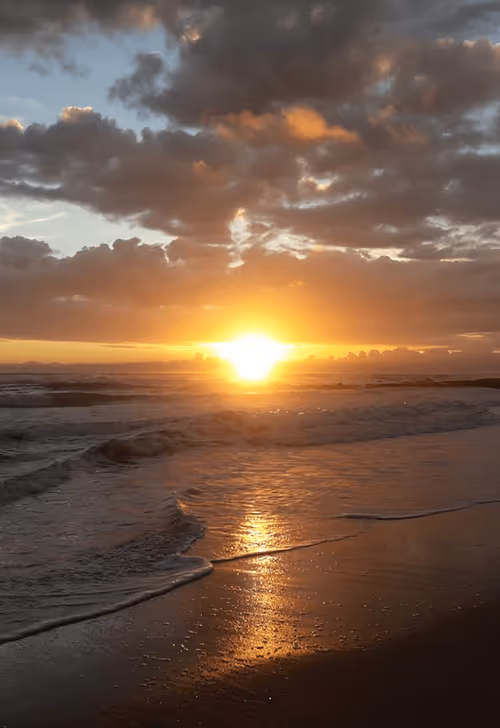 Item #76700450550340112382102681580091585512895062676973169630032706944535137091585 Media