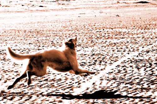 Item #97472780855113725442361506406406632137290984226550429674679319523152051044353 Media