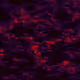 100040752441611613246289019651659586643711801546330399036492077903901345447937