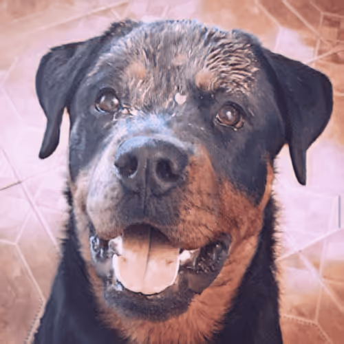 Item #7678098862480869732198640215548033609718490980890964392803254896118005235762 Media