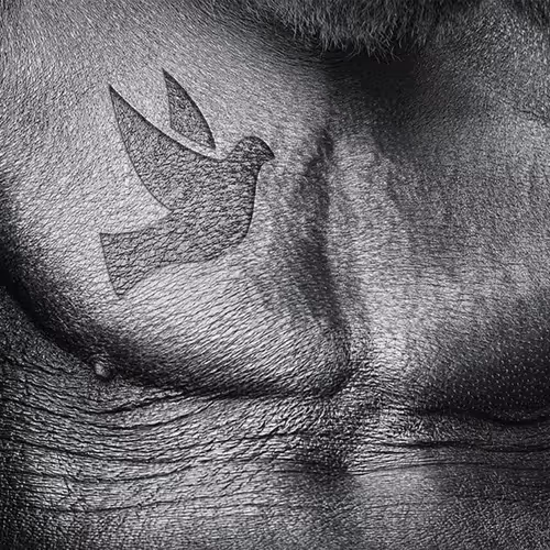 Item #1404736516812143796737347139805797685976196264274011436096350899798057943041 Media