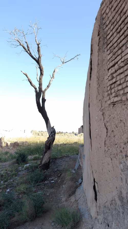 Item #71783453458607510737296471841867983382980629409983277105935523587020621348865 Media