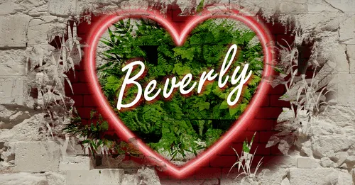 Item #68053287575525751288269231675427811746861684968250582901590729367133253271562 Media