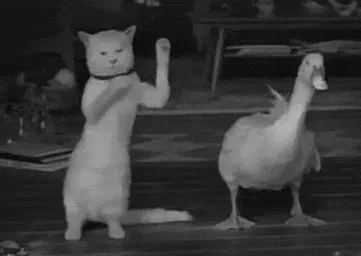 Item #96564313623556838037383445480953396848486855302597539068146780765968069033985 Media