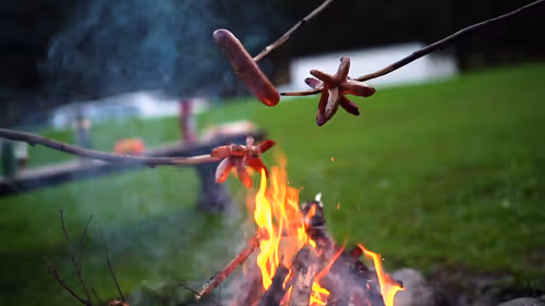 Item #46984012597842281533192492350334823177625161228317837567815991536254497849444 Media