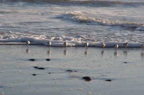 Item #19694953450994535055796596826502944982455978775333522112985953740161667825667 Media