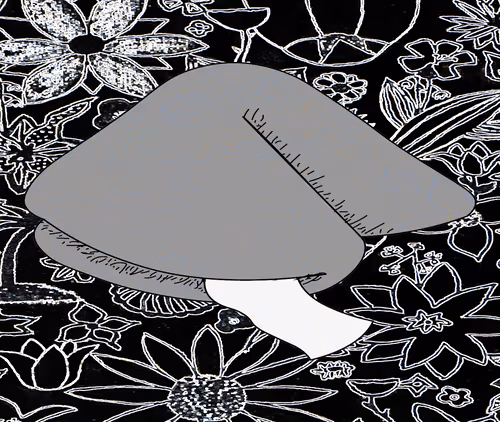 Item #56177743258238353915692039261457950691196406802314425732675602437641028501514 Media