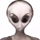 78659460725135531583023670119258347490912039647015248883718852255988355956737