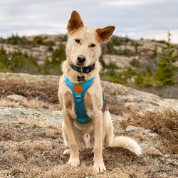 93545033271846001454118804230311667247513649279000342993662872575991598809098