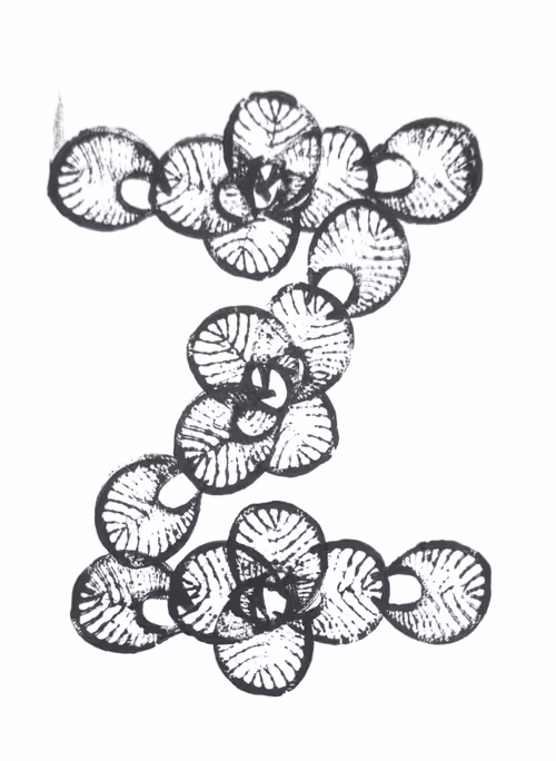 Item #114976545493241493257487804566862386491239486968085247361465237141536771145729 Media