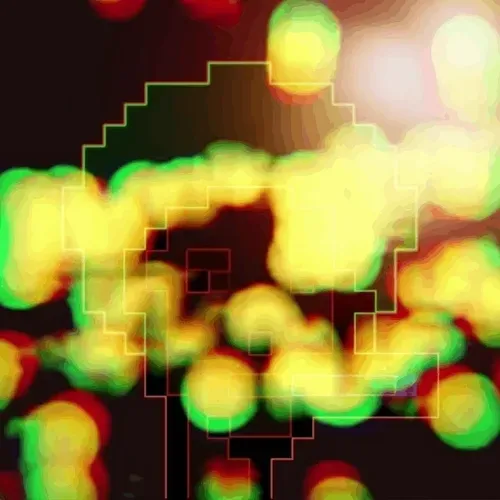 Item #91435039716910085341208423554579179297859495390497107569057972294008034033665 Media