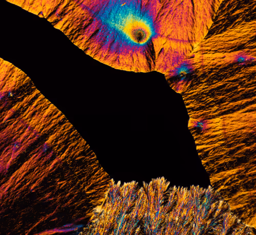 Item #10963747158726230323476698717181339106024031103904100561308612018279121158145 Media