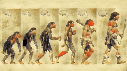 Item #30811687512936222812019848403034405815103538908942015009062010328466539413505 Media