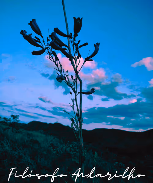 Item #42165497215799268651933513800091680414625417379712449060150831242921145008129 Media