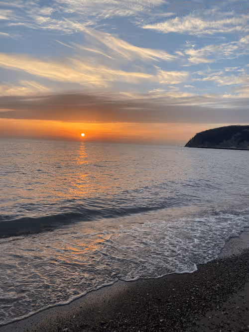 Item #112339910633504213728399095396539794001498957643170945361235603260301442547713 Media