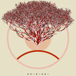 74168867016011539093366687608765447348507224284888477074887988681937713627137