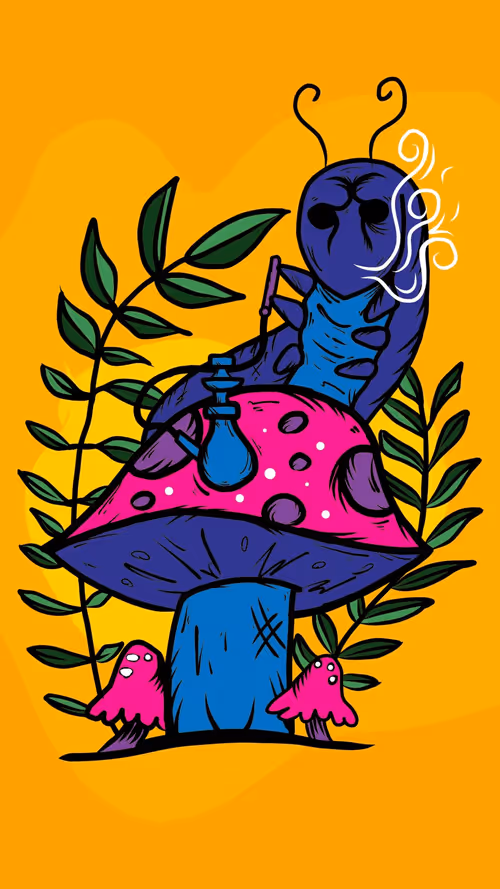 Item #24030009313580026096534545344150739844378333214511987879249605543558381568001 Media